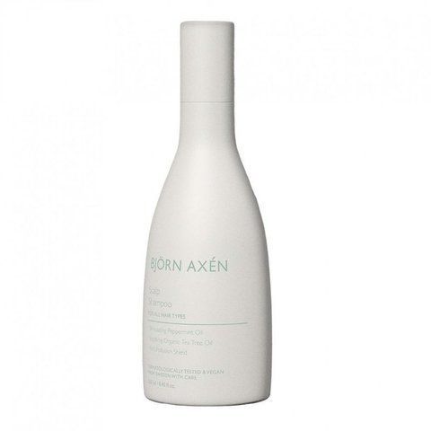 Шампунь для глибокого очищення BJORN AXEN Scalp Shampoo, 250 мл 7350001705767 фото