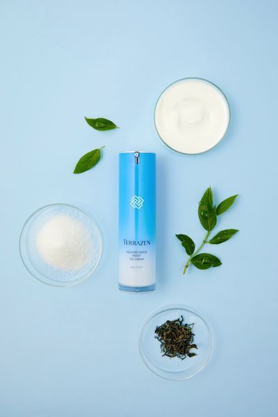 Інтенсивно зволожувальний крем-гель із гіалуроновим комплексом Terrazen Aqua Recharge Moist Gel Cream 60 мл 8809263868028 фото