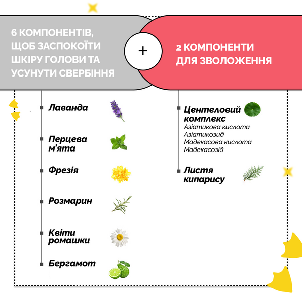 Пілінг для шкіри голови з частинками солі з мертвого моря Dr.FORHAIR Sea Salt Scaler, 300 мл