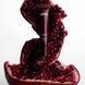Блиск для губ "Гранат" LIPSS Pomegranate Wine, 8 мл 4820276880474 фото 3